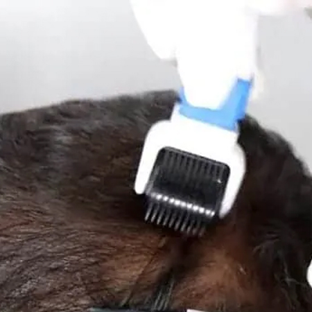 Treatment photo